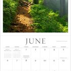 Kalenderseite für Juni 2027. Bild: Ein Weg im nebligen Wald mit üppigem Grün und hohen Bäumen.