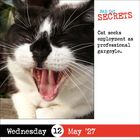 BAD CAT SECRETS. Cat seeks employment as professional gargoyle. Wednesday 12 May '27. Schwarze-weiße Katze gähnt.