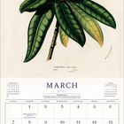 März 2027 Kalender mit Rhododendron-Illustration. Feiertage: Women's History Month, St. Patrick's Day, Ostern.