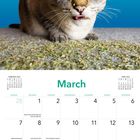 Text im Bild: "KAIA, 6", "March", "CHEETARA, 13". Ein Kalenderblatt für März 2027; oben eine Katze mit blauen Augen.