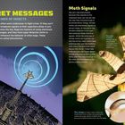 Text über Geheimnachrichten von Insekten. Illustration: Eine Motte sendet Wellen von einem Gebäudeturm aus. Foto: Motte mit Text.