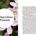 "Getting to Know Wisconsin" steht groß in einem weißen Kreis. Dahinter zarte, rosa Blumen. Rechts Text über Wisconsin.