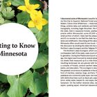 Links auf einem weißen Kreis steht "Getting to Know Minnesota", umgeben von grünen Blättern und gelben Blüten. Rechts ist Text.