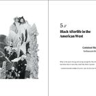 5 // Black Afterlife in the American West. Common Mullein, Verbascum thapsus. Text von Alexis Pauline Gumbs. Links schwarz-weiß Collage mit Cowboy und Blättern.