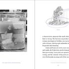 Links: "Cho dofu (stinky tofu) fermenting". Rechts: "Natto". Zeichnung von Natto mit Stäbchen, Text über Fermentation und Geruch.