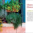 Text: "Chaos Flowers", "6. Barrel of Blooms". Blumentöpfe mit bunten Blumen vor einem Fenster und einer dekorativen Illustration.