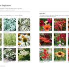 Zwei Spalten, oben: "Summer Color Inspiration". Links: "Verdant Silver", rechts: "Sunset Blaze". Darunter Pflanzenfotos.