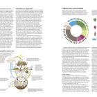 "Wine and the Planet", "Regenerative viticulture and the carbon cycle", "California wine's carbon footprint". Illustration eines Kohlenstoffkreislaufs. Diagramm über Kohlenstofffußabdruck.