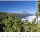 "Landschaft mit Teide" steht in der linken unteren Ecke. Kalender für den Monat Februar, mit Kiefern und Berglandschaft.