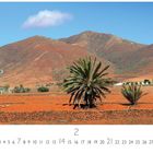 "Landschaft bei Tuineje", roter Wüstenboden, Palmen, Hügel im Hintergrund. Zahlen unten von 1 bis 28.