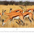Aufschrift: "Impala". Zahl "2" und Kalendertage. Mehrere Impalas grasen auf einer Savanne mit trockenem Gras.