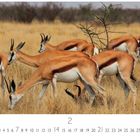 "Impala", der Kalender zeigt den Monat 2 und die Tage von 1 bis 28. Eine Herde Impalas in einer Graslandschaft.