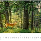 Nummern 1 bis 28, "2", "CASARES EDITION". Ein Reh steht im lichten Wald, umgeben von grünen Bäumen und Gras.