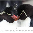 Der Text zeigt eine Kalenderseite mit Zahlen 1 bis 28. Abgebildet sind zwei Pinguine, die sich an den Schnäbeln berühren.