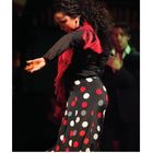 2, Casares Edition, Monatskalender Februar. Flamenco-Tänzerin in buntem Kleid mit rotem Halstuch und Blume im Haar.