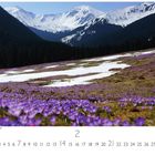 Text: "Chocholowska Tal in der Tatra". Eine Wiese mit lila Krokussen, im Hintergrund schneebedeckte Berge. Datum unten.