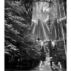 „Sony Center“, Kalendertage, große Glasstruktur, Bäume, zwei Personen, symmetrische Architektur, Lichtspiele.