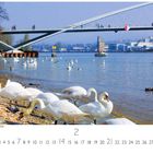Weil am Rhein, Dreiländerbrücke. Schwäne am Flussufer, Brücke mit Fußgängern. Fabriken im Hintergrund.