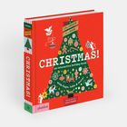 Text: "CHRISTMAS! an interactive holiday book with flaps, tabs & more!" Rotes Cover mit dekorativem Weihnachtsbaum.