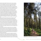 Text: "WALKING THROUGH THE WOODS OF CRAIG-Y-NOS COUNTRY PARK". Eine Frau und ein Kind spazieren auf einem Waldweg zwischen hohen Bäumen.