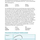 4. Betonung im Schwedischen: Unterschiede zwischen Druck- und musikalischem Akzent. Beispiele: vatten, potatis, öre, vykort, uppehåll.