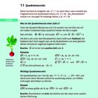 1 Reelle Zahlen, 1.1 Quadratwurzeln. Wissen: Was ist die Quadratwurzel einer Zahl a? Radieschen werden auch als Wurzel bezeichnet.