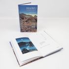 "HAIKU der Jahreszeiten" in Deutsch und Japanisch. Ein Buch steht aufrecht, ein weiteres liegt offen, zeigt ein Bild.