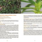 **Linke Seite:** Überschrift "Polytrichaceae Haarmützenmoose". 
Detailbeschreibung der Pflanze "Pogonatum urnigerum", grünliche Moosfläche.  
Nummer 1 zeigt die gesamte Moosfläche.

**Rechte Seite:** Nummer 2 zeigt eine Nahaufnahme des Pflanzenstängels. 
Beschreibung über ökologische Aspekte und Verbreitung. 
Nummer 3 zeigt eine vollständige Pflanze und ihre Wurzeln.