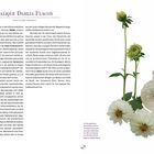 Text: Lalique Dahlia Flacon. Entwurf von 1931, Höhe 8,8 cm. Bild: Weiße Dahlien und Parfümflakon.