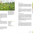Text über Tiergesundheit, Weidezeiten, Weidetiere, Säuberungsschnitte und Strukturen. Links Bild einer blühenden Wiese. Rechts Käfer.