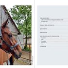 Inhaltsverzeichnis: Kapitel über Reiten, Prävention und Geschichten von Hummel, Josy, Paulchen, Dreamer T. Daneben Pferd und Stall.