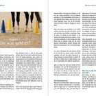 Kapitel 1: Um was geht es?

Ein Foto zeigt Pferdebeine auf Sand, umgeben von gelben und blauen Hütchen. Es vermittelt ein Gefühl von Reittraining.