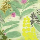 Texte: In unseren Gärten sind erschienen schon über tausend Honigbienen! Doch da – wie schön! Schau hoch. Was flattert denn dort? Hierhin, dorthin – schon ist sie fort! Es ist der Beginn einer neuen Geschichte ... Illustration: Bunte Pflanzen, Blätter und Schmetterling.