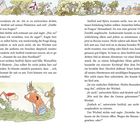 Zwei Seiten aus einem Buch mit einer Szene aus einer Geschichte. Eine Illustration zeigt fantasievolle Charaktere in einem Garten.