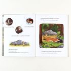 Er hat echt krasse Hauer, riesische Zähne. Oh Mann, was’n Schisser! Illustration zeigt Wald mit Maus und Fuchs.