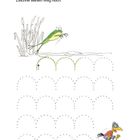 "Linien ziehen. Der Frosch springt in hohen Bögen am Ufer entlang. Zeichne seinen Weg nach." Eine Illustration mit einem Frosch, der über das Wasser springt, und einer lachenden Krähe. Beigelegte Punktlinien zeigen die Bögen.