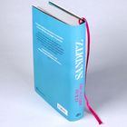 Der Buchrücken zeigt "SANDITZ" und "LUKAS RIEPENSCHEL". Eine hellblaue Buchdeckung mit pinkem Lesebändchen.