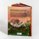 Rückseite eines Buches mit Text über Vergänglichkeit und Lebenswert. Illustration: Skelett liegt entspannt auf einer Blumenwiese.