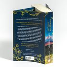 Buchtitel: "Die Frauen von Ballymore". Thema: Zwei Frauen, ein tödliches Geheimnis. Farbige Blumenillustrationen als Dekor.