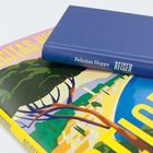 Text: "Felicitas Hoppe REISEN." Ein blaues Buch liegt auf einem farbenfrohen, gemalten Buchcover mit Landschaft und Küste.