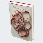 Titel: "Bleiben und Blicken". Autor: Botho Strauß. Verlag: Hanser. Cover: Rote, ineinander geschlungene Bänder.