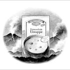 Text: "Maggi Meisterklasse Neue Primordiale Ursuppe." Illustration: Suppentüte vor einer Landschaft mit Vulkanen.