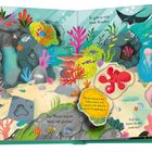 Texte: „Wie schön die Farben im Korallenriff leuchten!“, „Das Wasser hier ist warm und glasklar.“, „Es gibt so viele bunte Korallen.“, „Kraken können ihre Farbe ändern und passen sich dadurch an die Umgebung an.“, „Mit ihren auffällig gestreiften Flossen fangen Feuerfische ihre Beute.“, „Und was kannst du alles entdecken?“ 
Illustration: Lebhaftes Korallenriff mit bunten Korallen und Tieren.