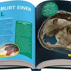 Text über Bildung neuer Inseln, Beschreibung von Surtsey und Krakatau, Bild einer vulkanischen Insel aus der Luft.