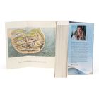 Text: "Nordseebad Borkum im 19. Jahrhundert" und ein Abschnitt über Miriam Georg. Links eine historische Karte. Rechts ein Foto einer Frau.