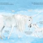 Einhörner auf Wolken. Text beschreibt weiße Tarnung, magisches Horn, kräftige Beine und empfindliche Nüstern.