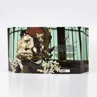 Cover/Produkt Ansicht vergrößern