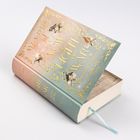 „A Vow of Light and War“, Ayla Dade. Buch mit vergoldeten Verzierungen und Illustrationen von Blumen und Blättern.