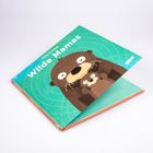 Cover/Produkt Ansicht vergrößern