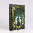 Auf dem Buchcover steht "Töchter des Nebelwalds" von Gry Kappel Jensen. Es zeigt eine Frau im Wald.